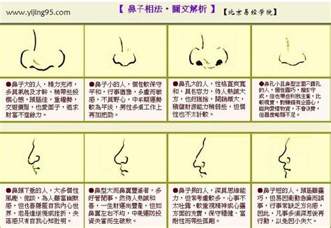 鼻子看面相|面相學之鼻型解析、全面解讀鼻子與命運